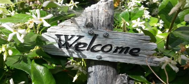Welcome here