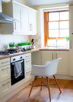 New Appliances for Kitchen Remodeling