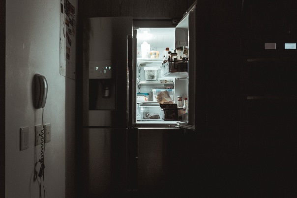 Refrigerator for home deodorizing